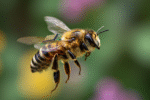 Chinese scientists create first cyborg bee with world’s lightest brain controller